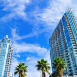 green palm trees near high rise buildings under blue sky during daytime