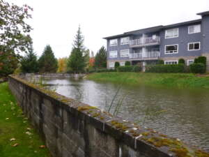 Retension Pond 